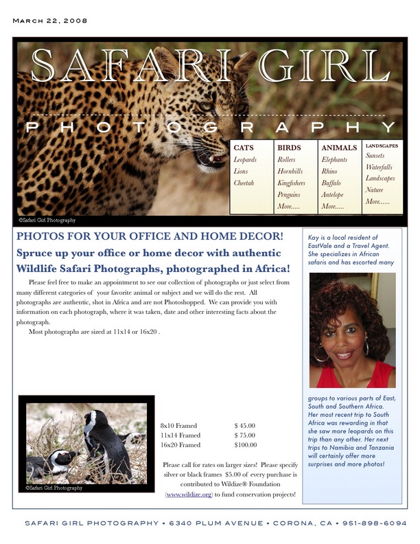 Safari business flyer