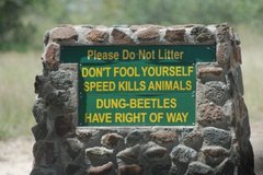 Don't squash the beetles!