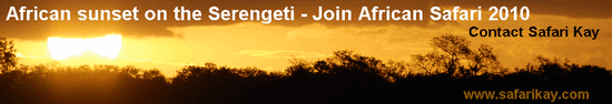 African Sunset on the Serengeti, Tanzania Africa