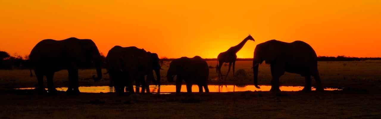 african sunset