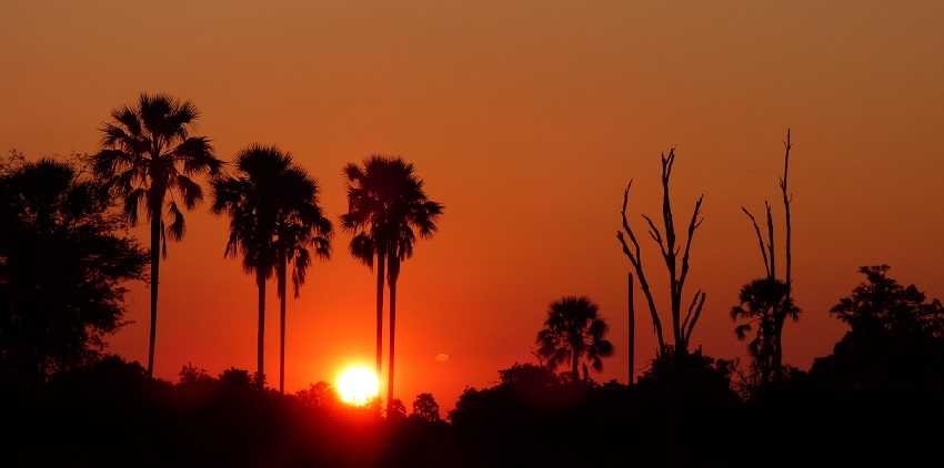 African Sunset